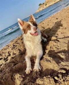 Playa del Rec del Molí - L'Escala